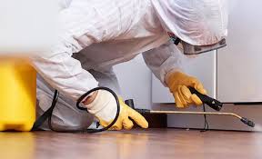 Best Residential Pest Control  in Jensen Beach, FL